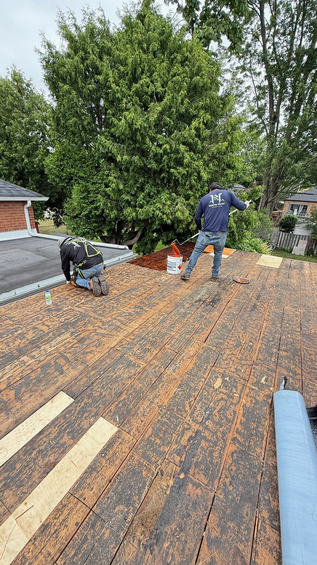 Before — damaged roof deck exposed
