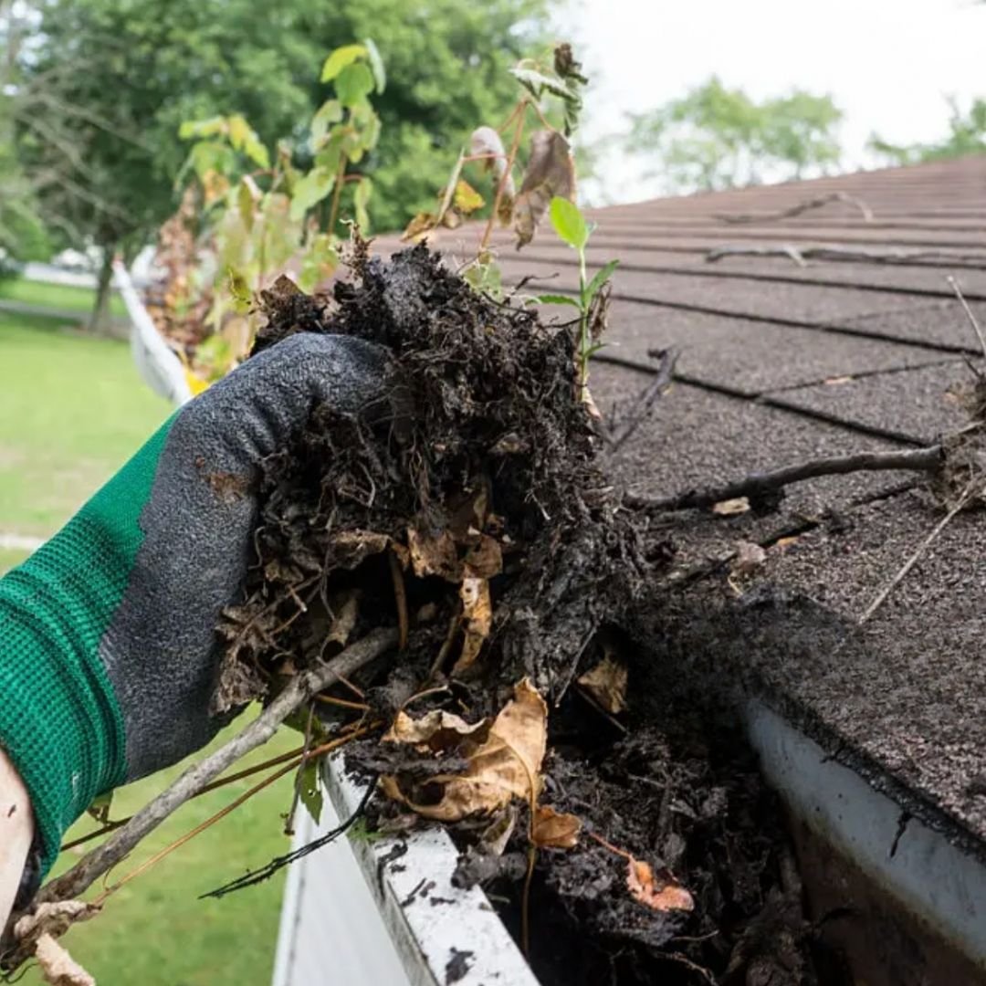 Gutter cleaning Calgary Edmonton