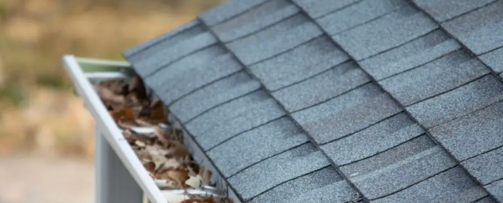 Gutter cleaning Calgary Edmonton